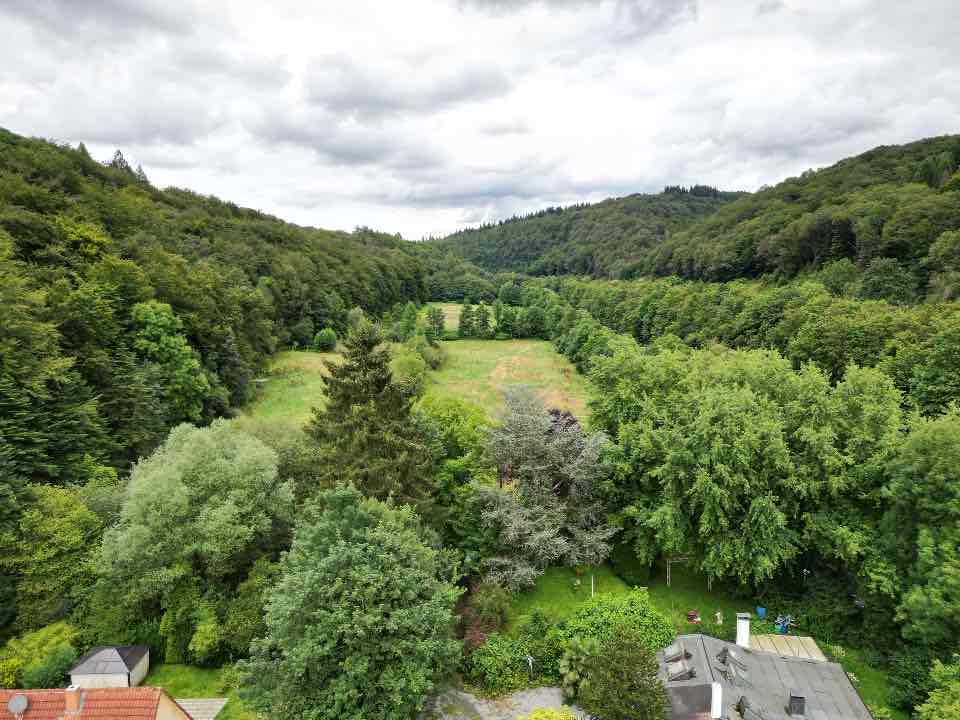 Blick auf eine grüne Waldlandschaft mit Wiesen und Häuserdächern im Vordergrund.