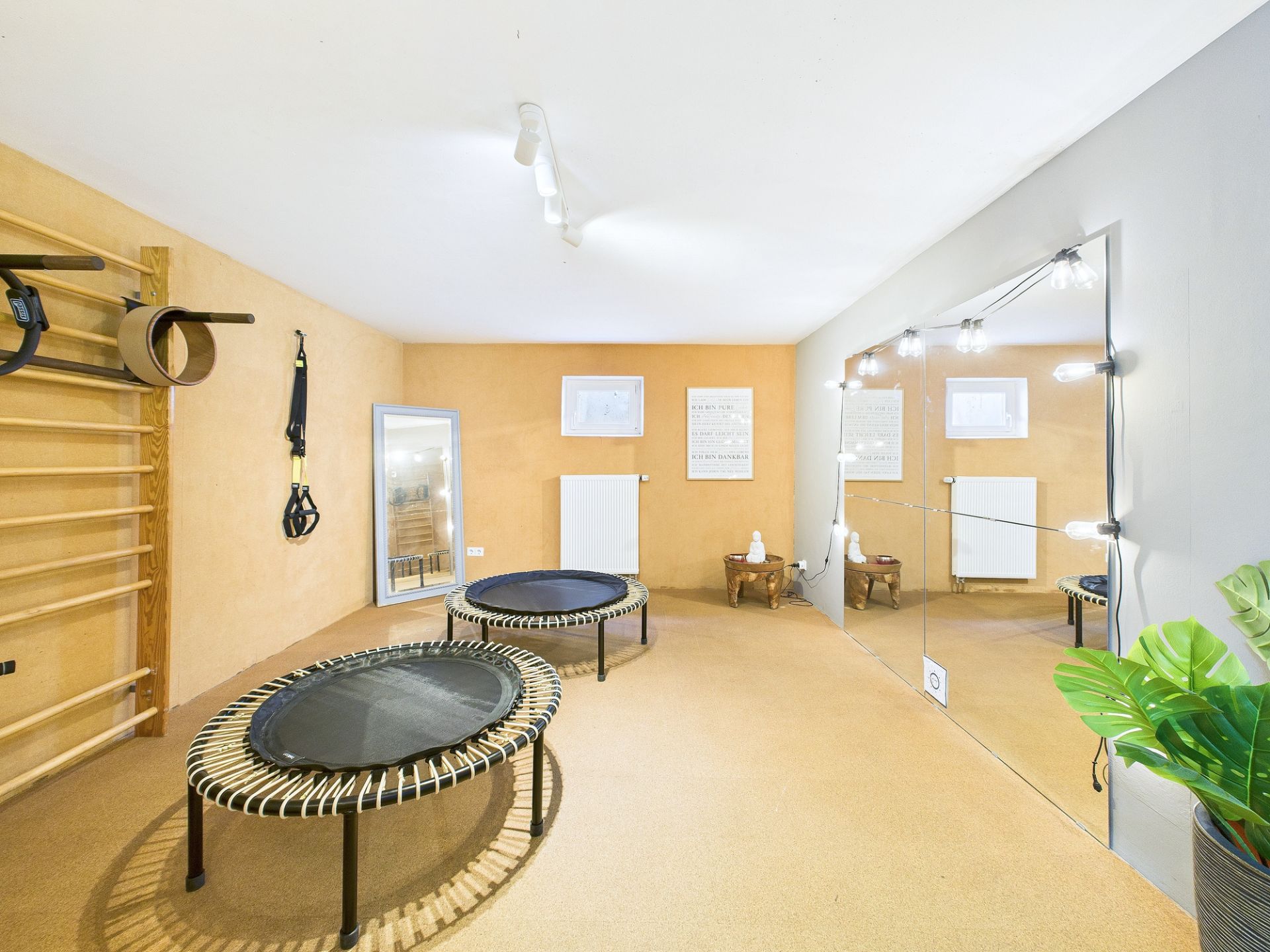 Heller Fitnessraum mit zwei Trampolinen, Spiegelwand, Sprossenwand und Zimmerpflanze.