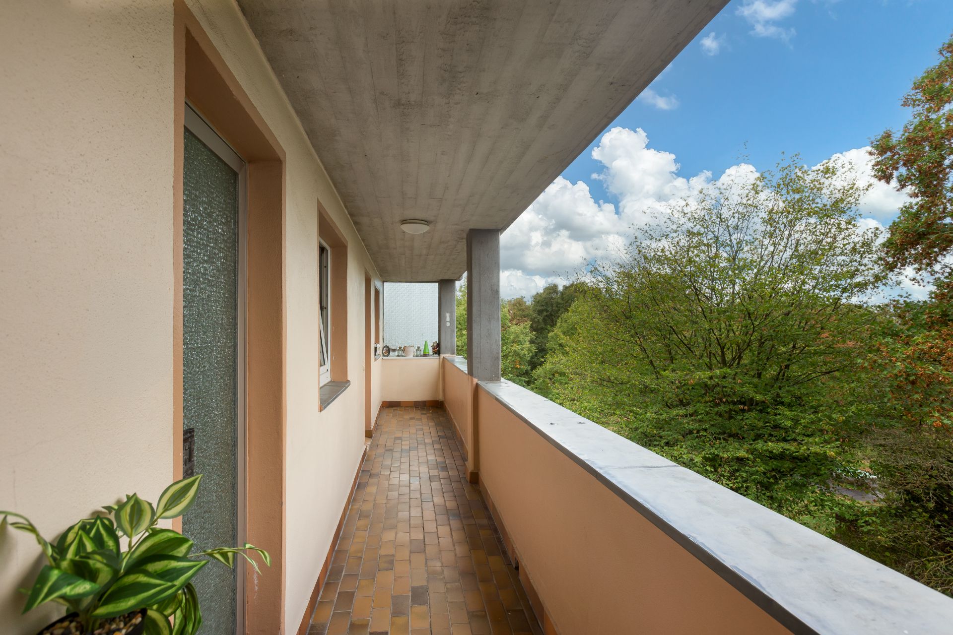 Langer Balkon mit Fliesenboden, Pflanzen und Blick auf Bäume, daneben Wohnungszugang.