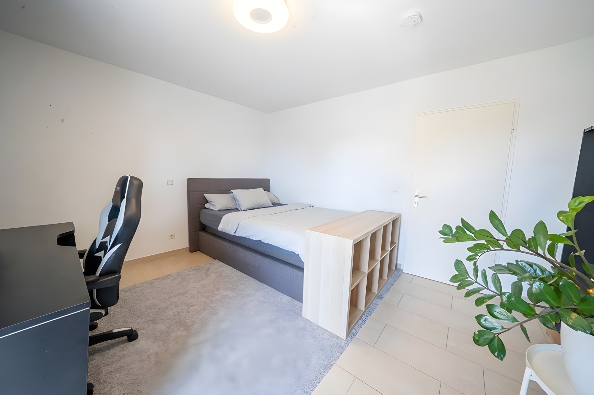 Helles Schlafzimmer mit Bett, Schreibtisch, Stuhl, Regal und Pflanze.