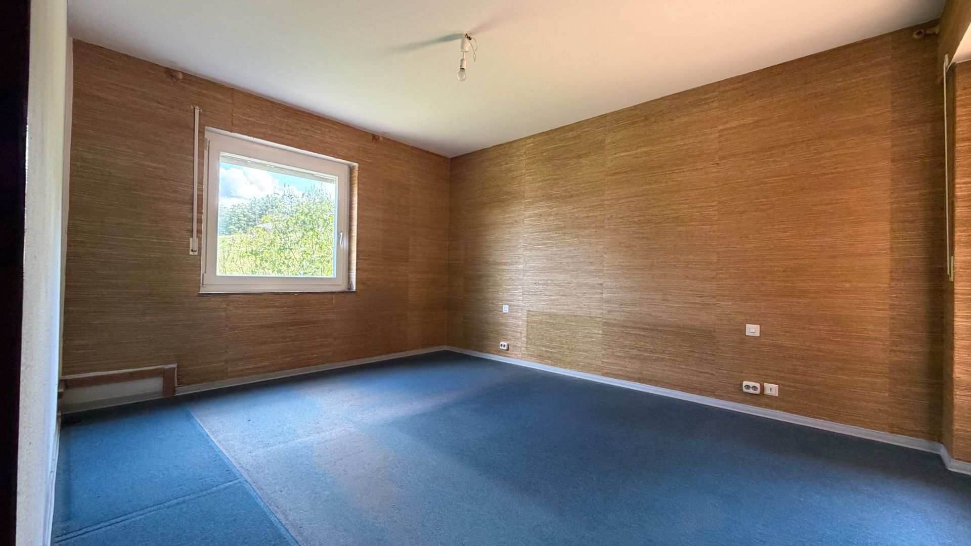Leerstehendes Zimmer mit blauem Teppichboden, braunen Wänden und einem Fenster mit Blick ins Grüne.