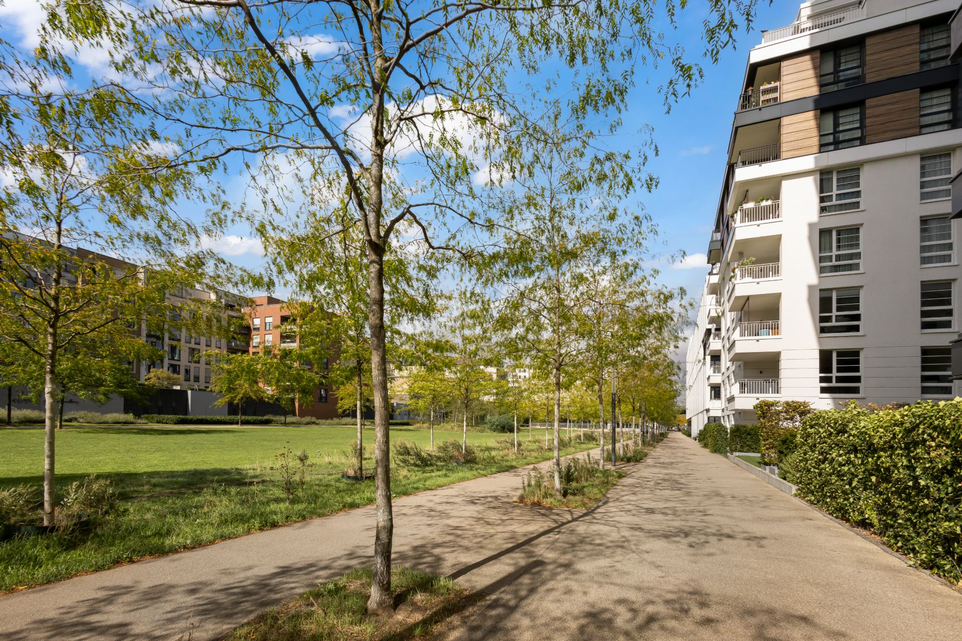 Gehweg mit Bäumen neben modernen Wohnhäusern und einer großen Rasenfläche.