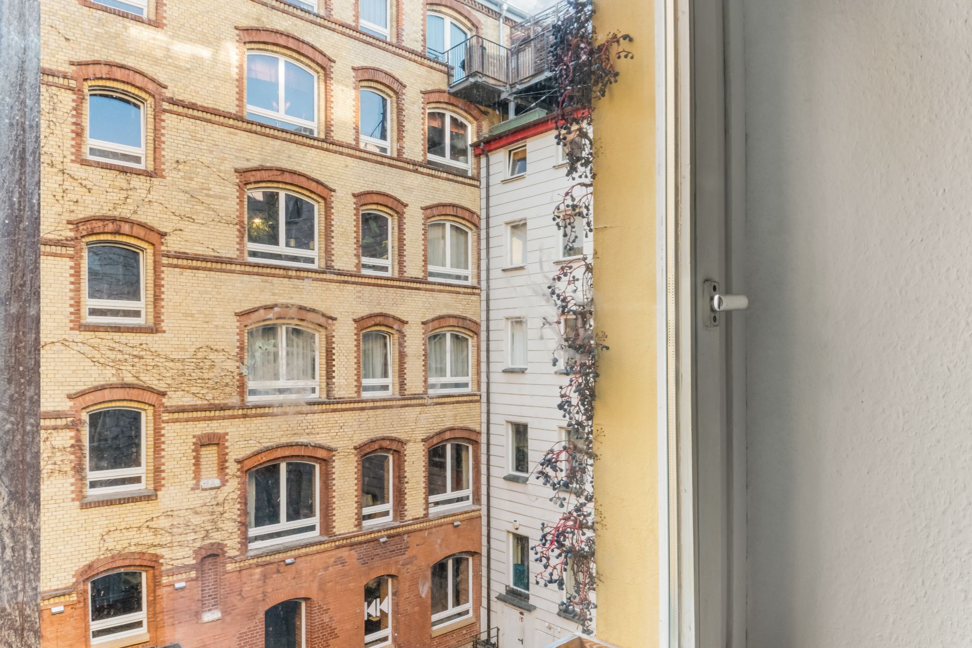 Blick aus einem Fenster auf Nachbargebäude mit gelber, roter und weißer Fassade sowie Kletterpflanzen.