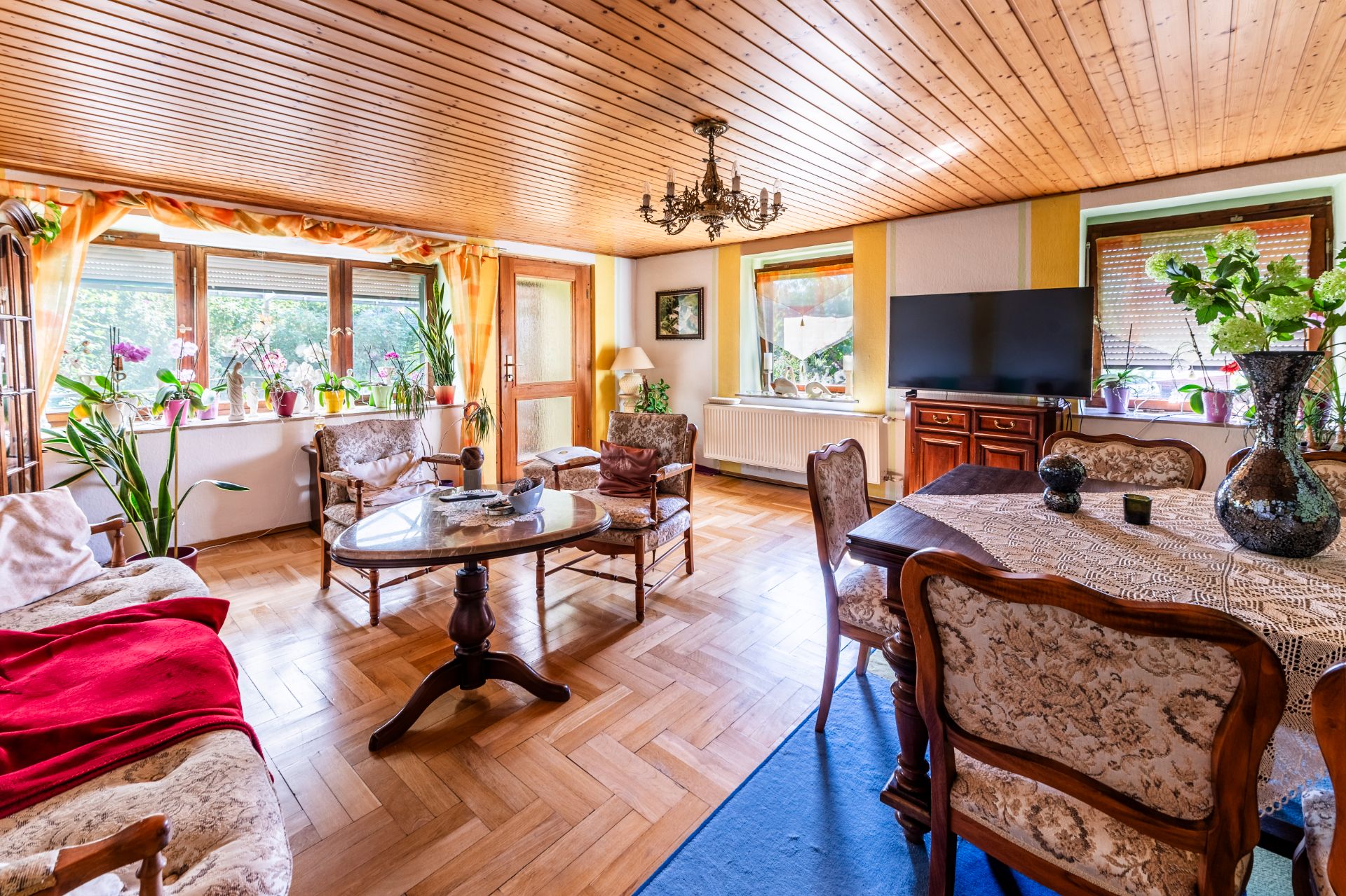Helles Wohnzimmer mit Holzboden, Esstisch, Sofa, Fernseher und vielen Pflanzen am Fenster.