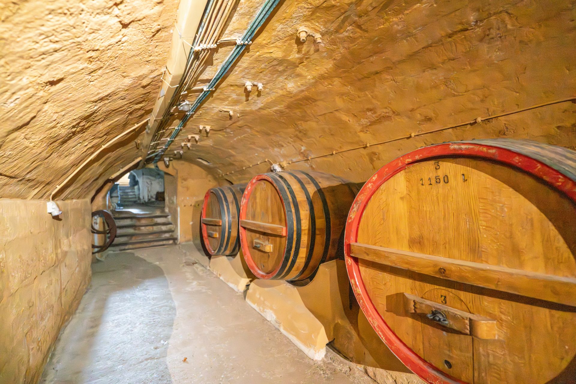 Gewölbekeller mit mehreren großen Holzfässern an der Wand.