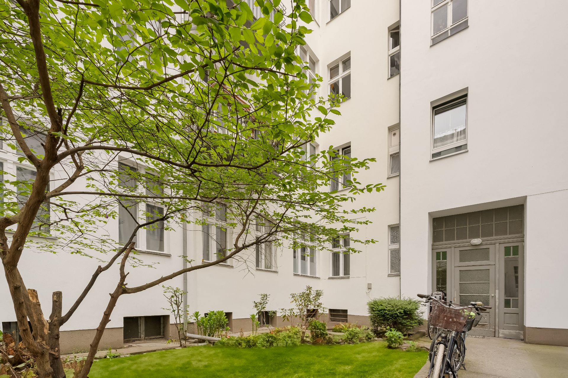 Grüner Innenhof mit Baum, Rasen, Eingangstür und zwei Fahrrädern vor einem Wohnhaus.