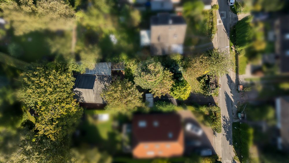 Luftaufnahme eines Hauses mit Garten und Bäumen an einer ruhigen Wohnstraße.