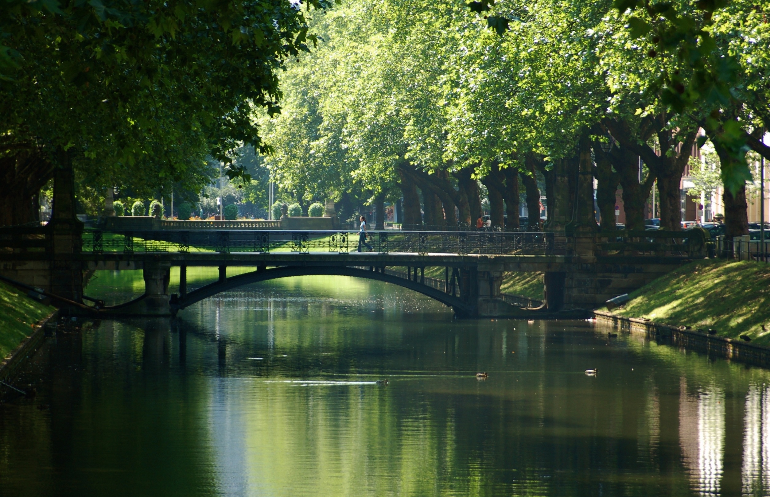 Baumgesäumter Kanal mit Brücke und Spaziergängern, Enten schwimmen im Wasser.