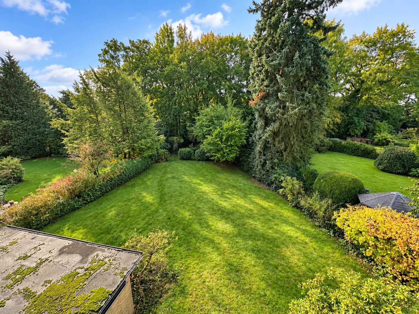 Großer, grüner Garten mit verschiedenen Bäumen und Sträuchern, von oben fotografiert.