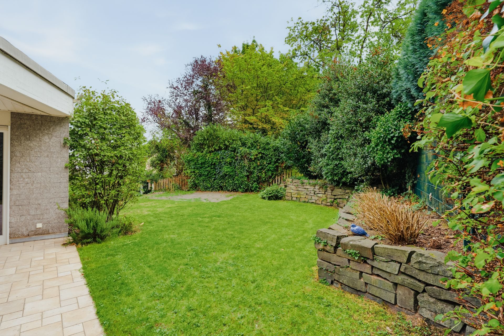 Garten mit Rasen, Steinmauer, Hecken und überdachter Terrasse an einem Wohnhaus.