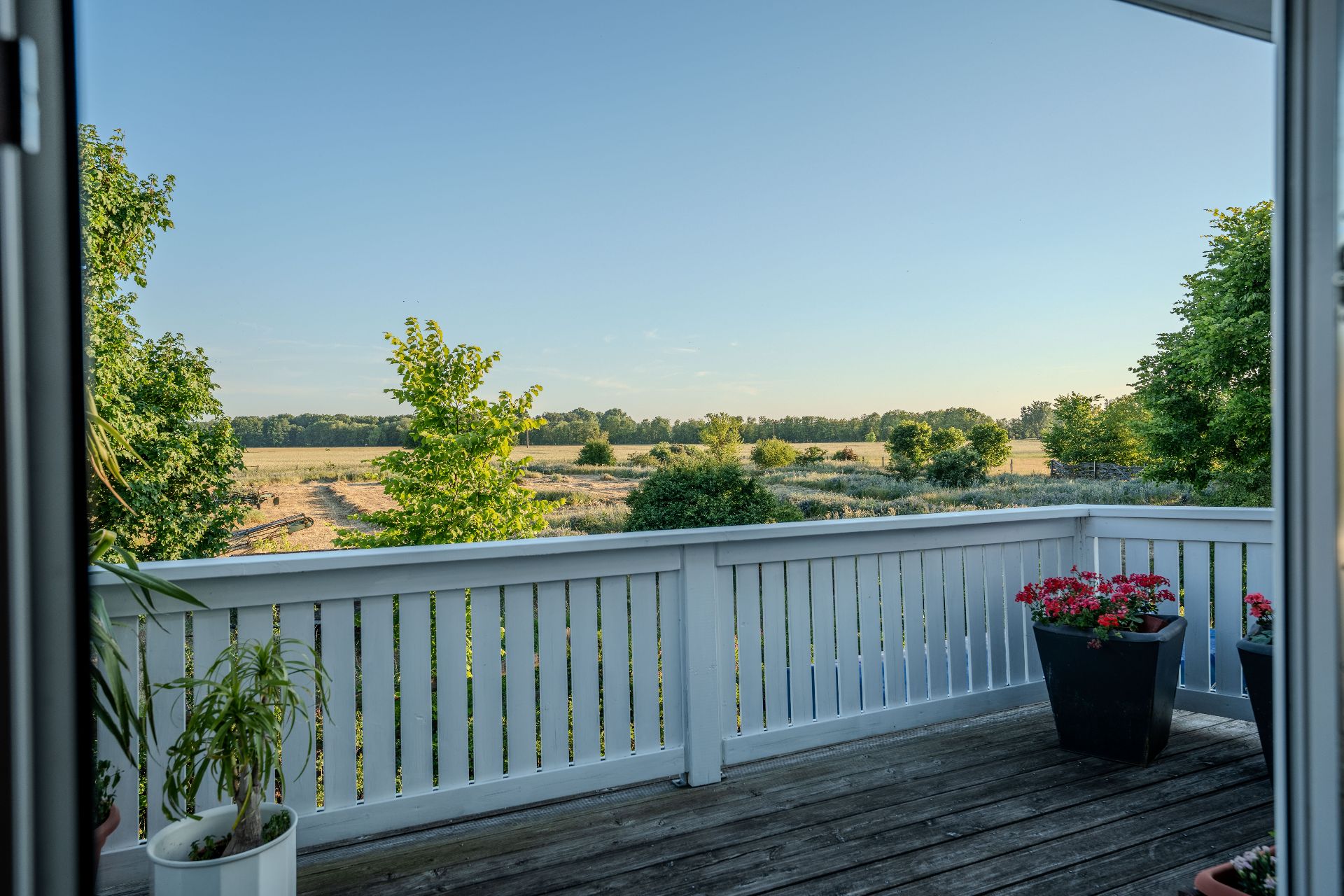 Balkon mit weißem Geländer, Holzboden, Pflanzen und Blick auf grüne Landschaft.