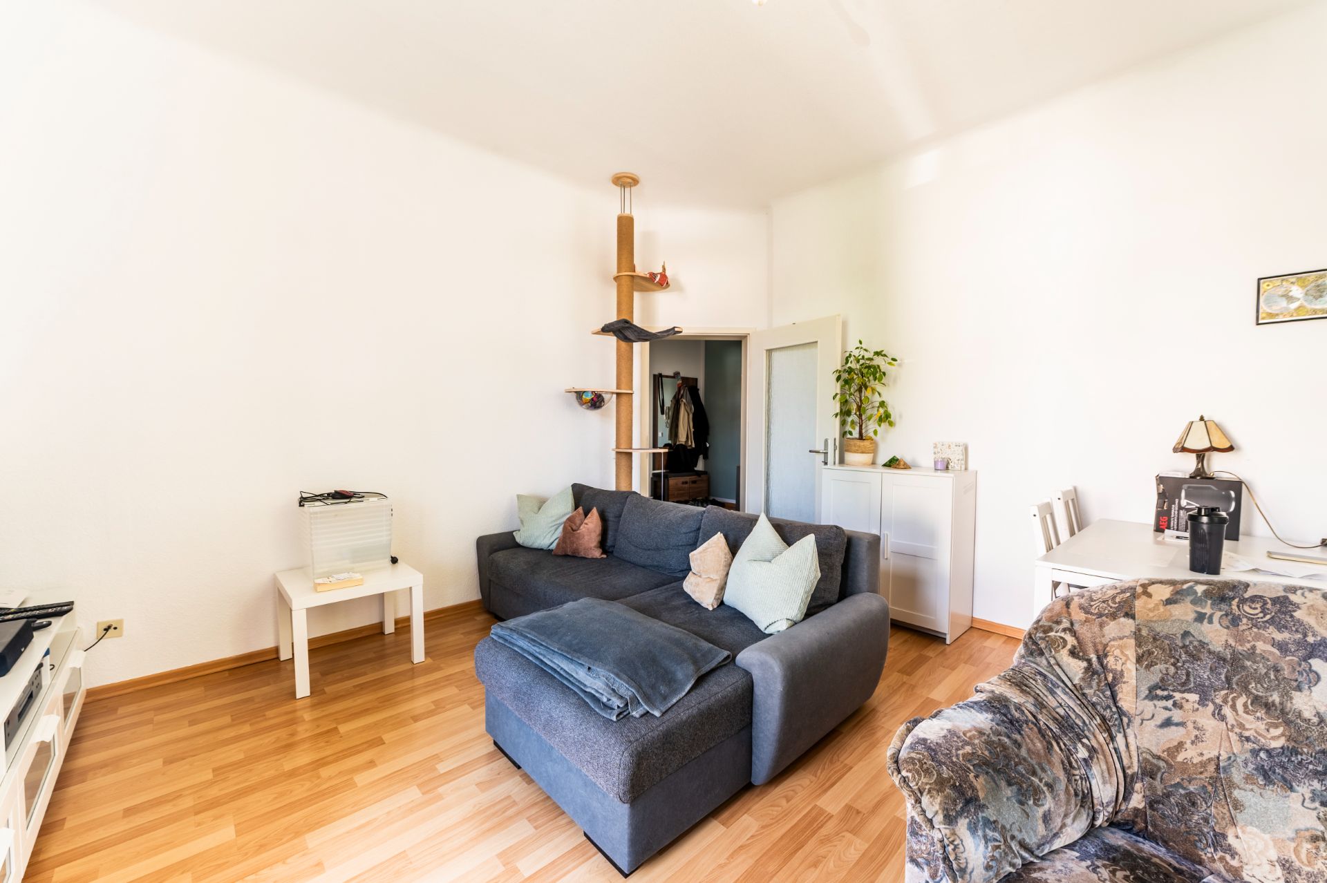 Helles Wohnzimmer mit grauem Sofa, Sessel, Katzenturm und Holzboden.