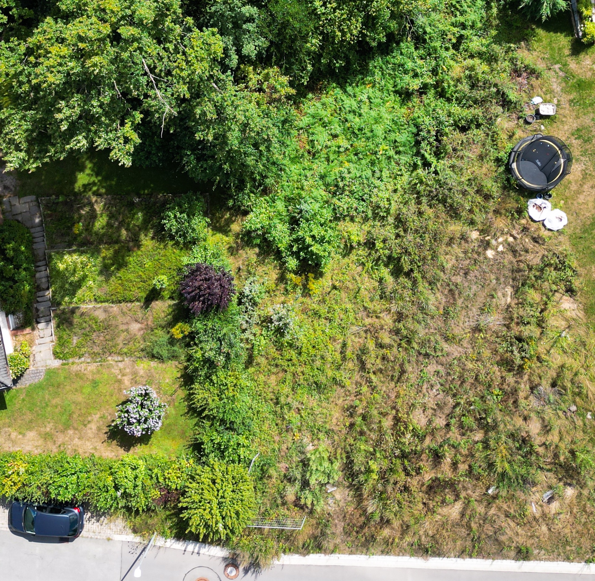 Luftbild eines Gartens mit Büschen, Rasenfläche, Auto und kleinem Trampolin.