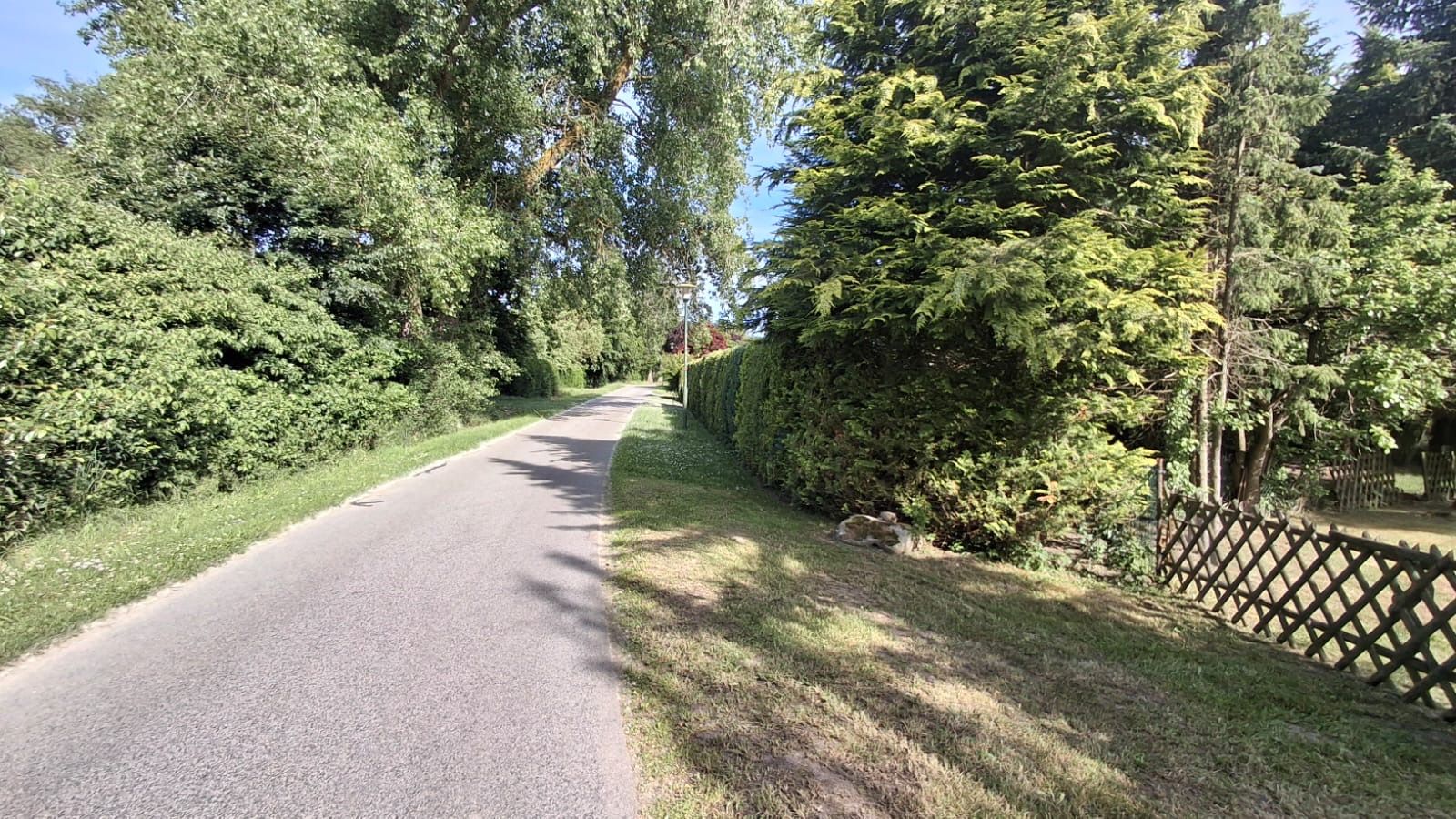 Schmaler Weg mit Grasrand, Bäumen und Sträuchern an beiden Seiten.