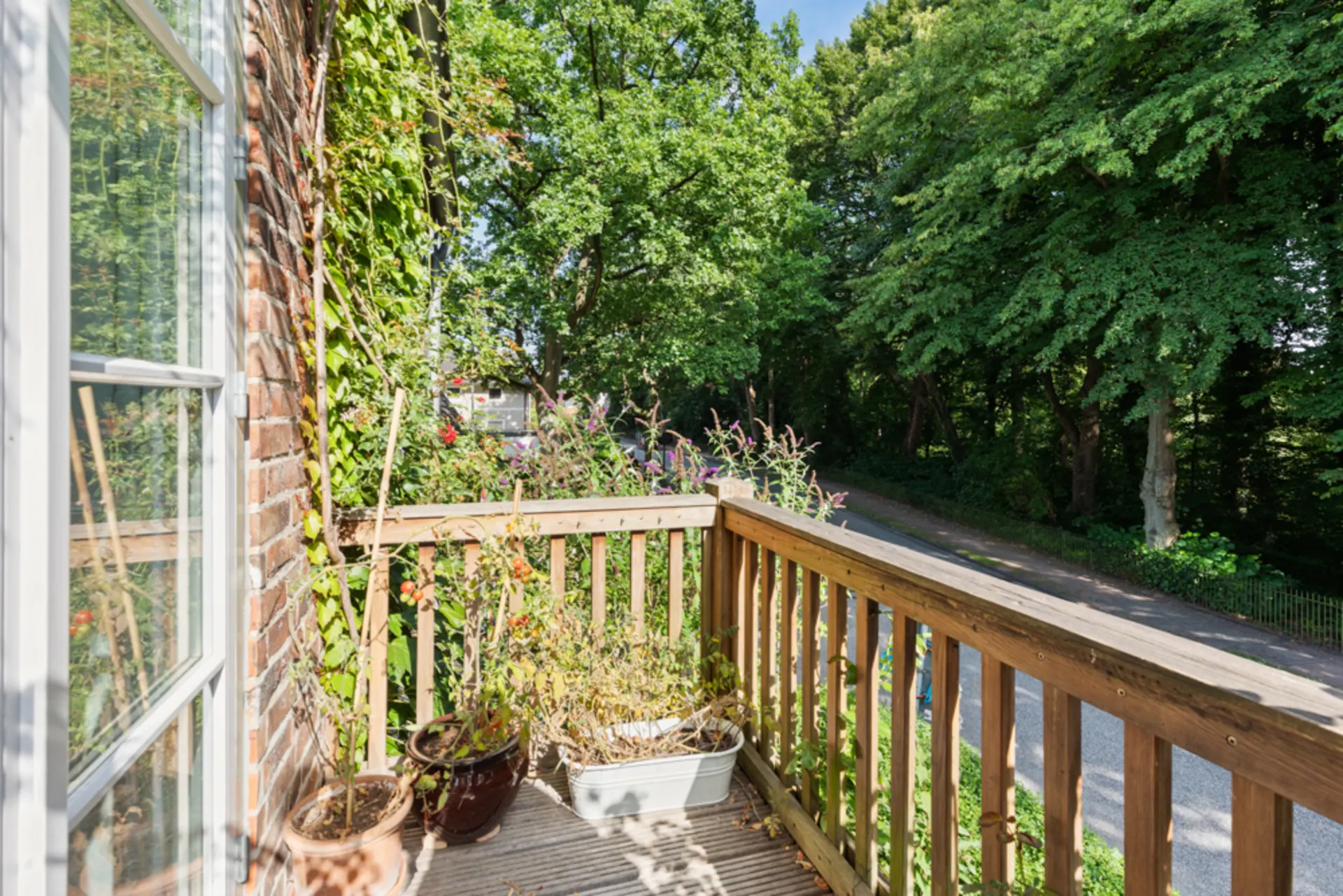 Balkon mit Holzgitter, Pflanzen in Töpfen und Blick auf eine ruhige Straße mit vielen Bäumen.