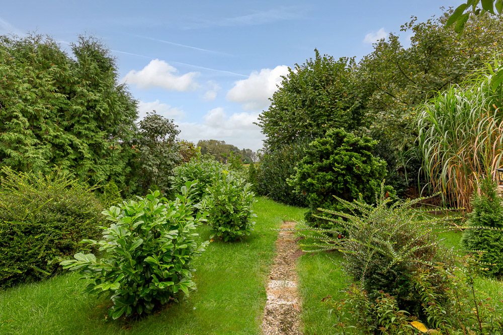 Garten mit grünem Rasen, vielen Sträuchern und einem schmalen Steinweg in der Mitte.