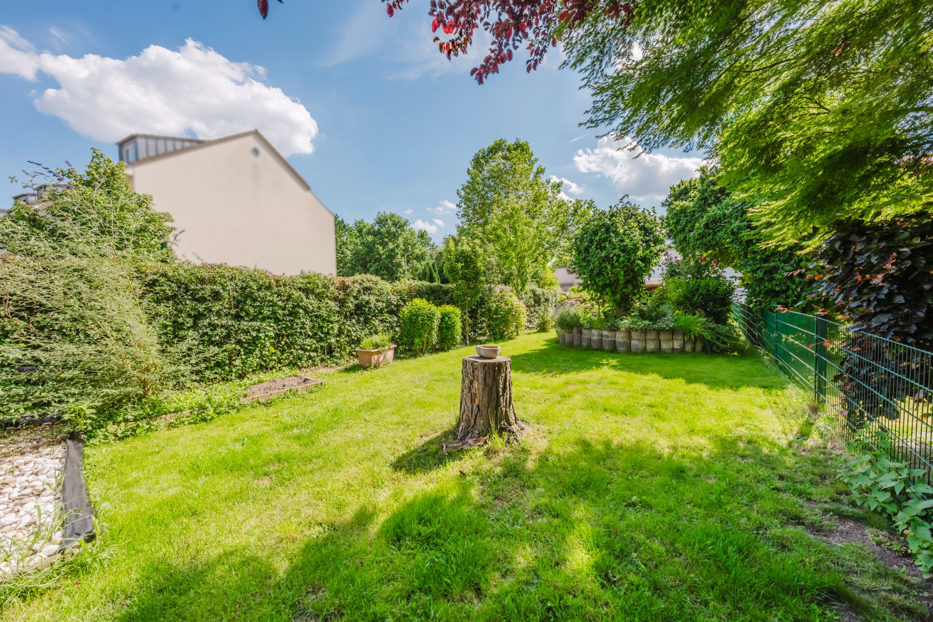 Grüner Garten mit Baumstumpf, Hecken und Bäumen, sonniges Wetter.