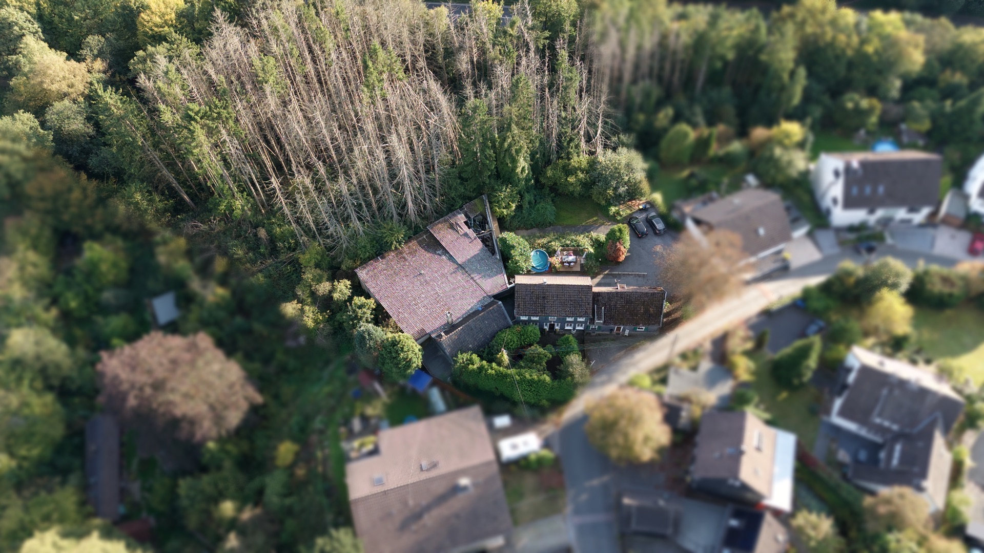 Luftaufnahme eines Wohnhauses mit Garten am Waldrand, umgeben von anderen Häusern.