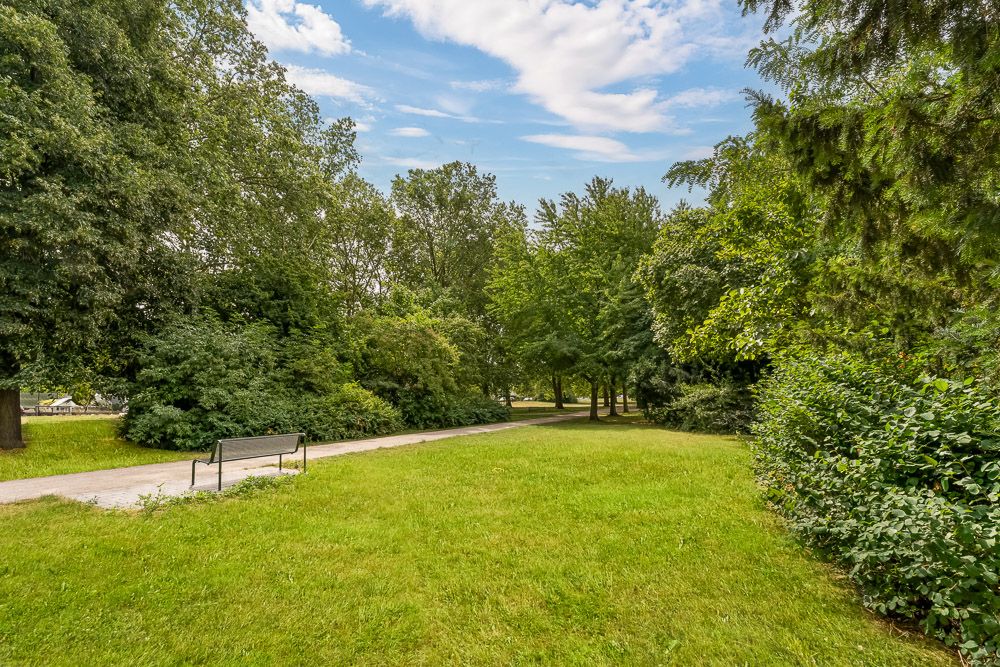 Grüne Wiese mit Bank und Gehweg, umgeben von vielen Bäumen bei sonnigem Wetter.