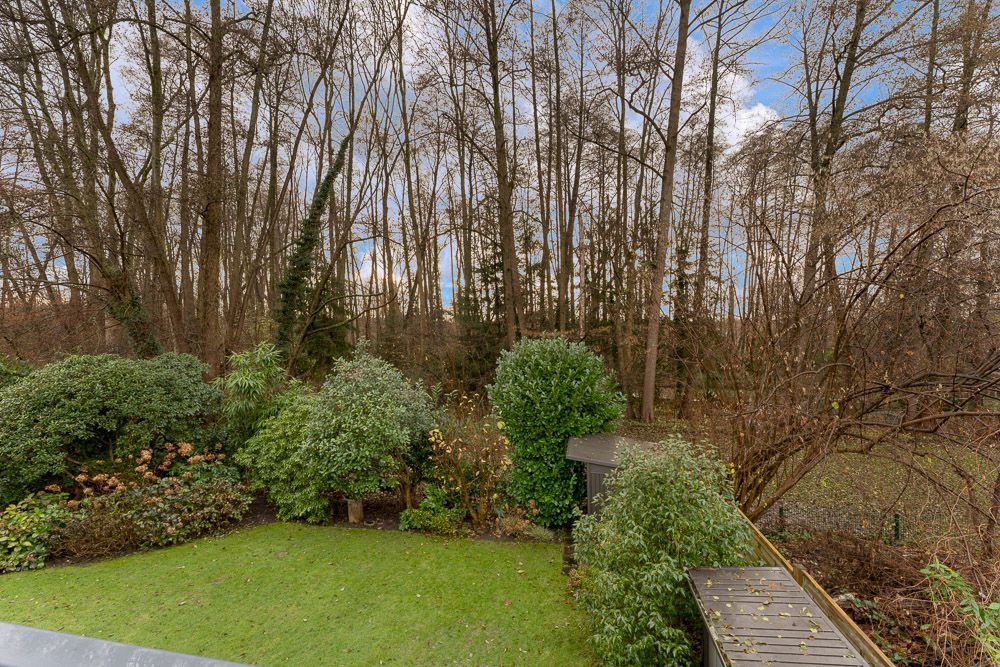 Garten mit grüner Rasenfläche, Büschen und Bäumen, dahinter ein kleiner Wald.