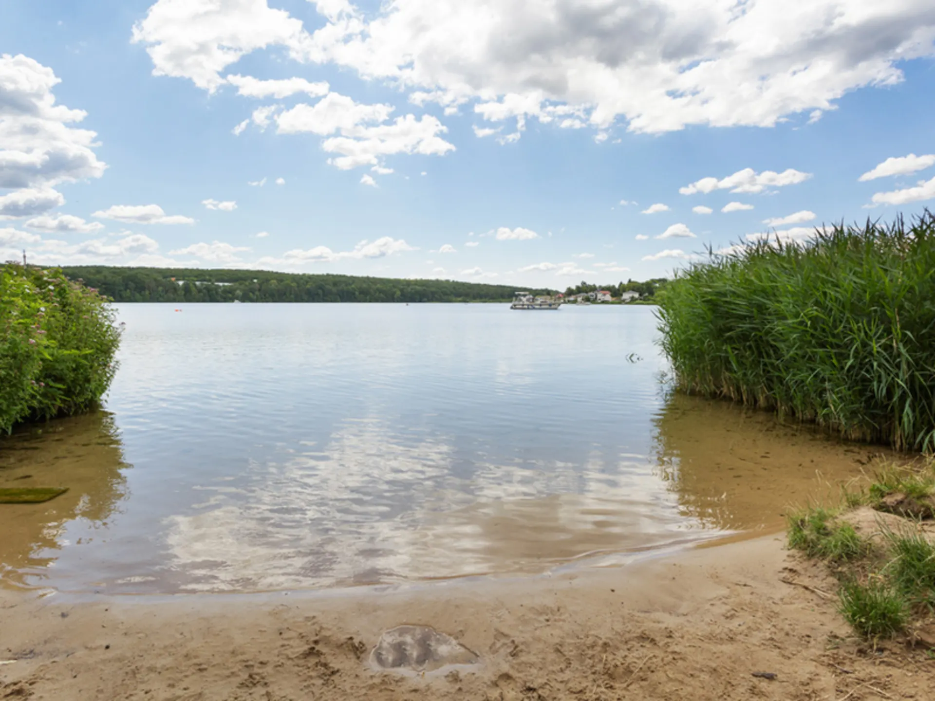 Kleiner Sandstrand mit Schilf am Ufer und Blick auf einen ruhigen See unter blauem Himmel.