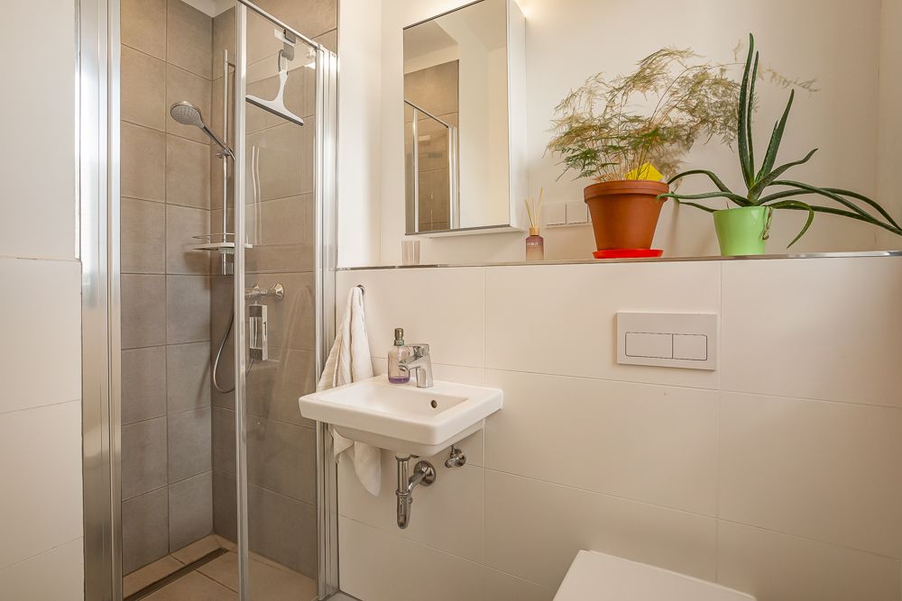 Modernes Bad mit Dusche, kleinem Waschbecken, Spiegel und zwei grünen Pflanzen auf einer Ablage.