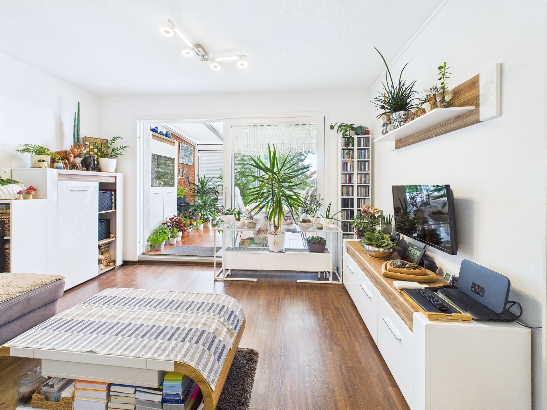 Helles Wohnzimmer mit Holzboden, vielen Zimmerpflanzen und weißen Möbeln.