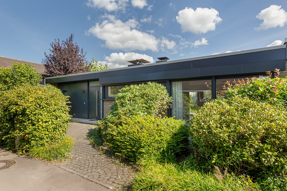 Modernes Flachbauhaus mit großen Fenstern und umgeben von grünen Büschen und Pflanzen.