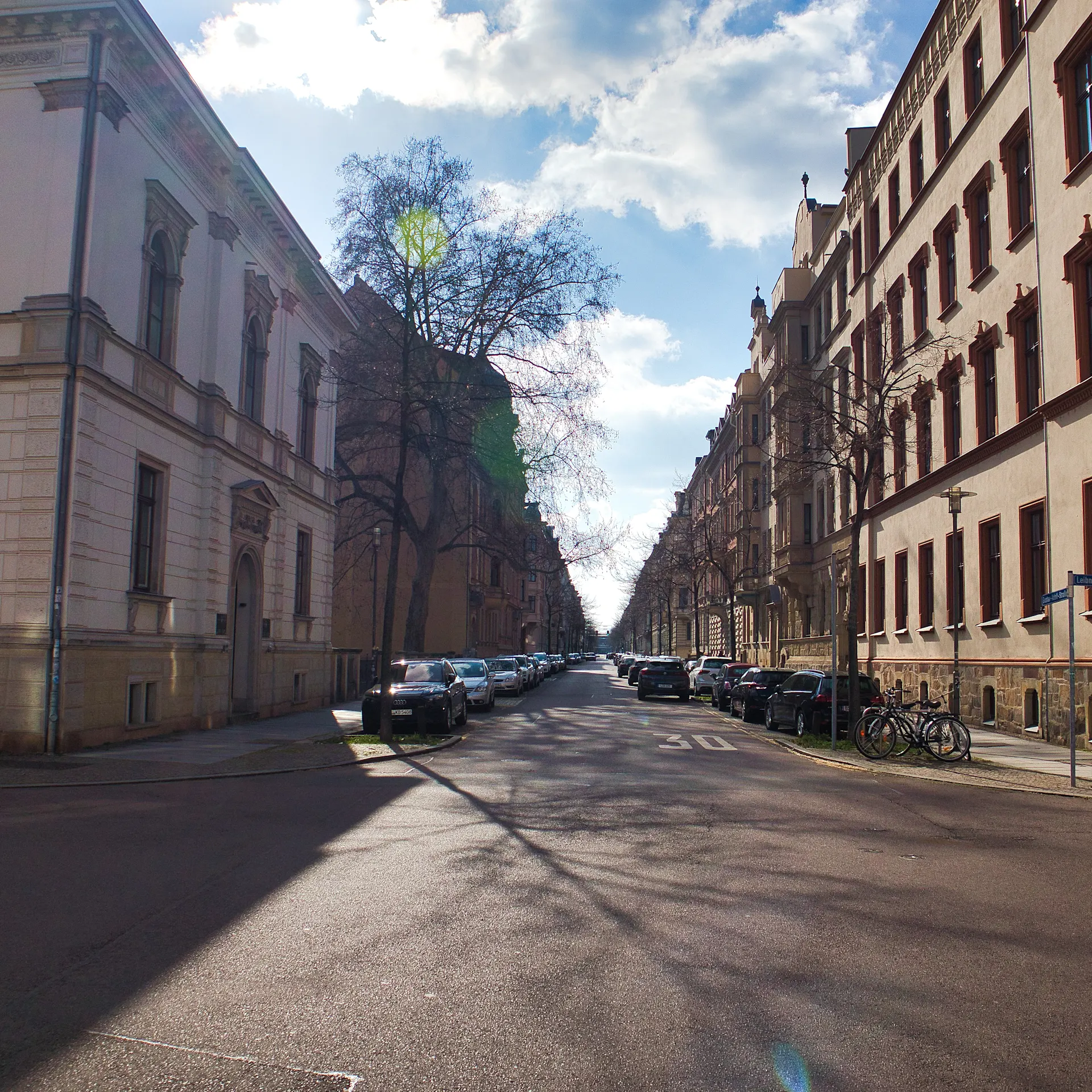 Wohnstraße mit parkenden Autos, Altbauten auf beiden Seiten und einigen Bäumen am Straßenrand.