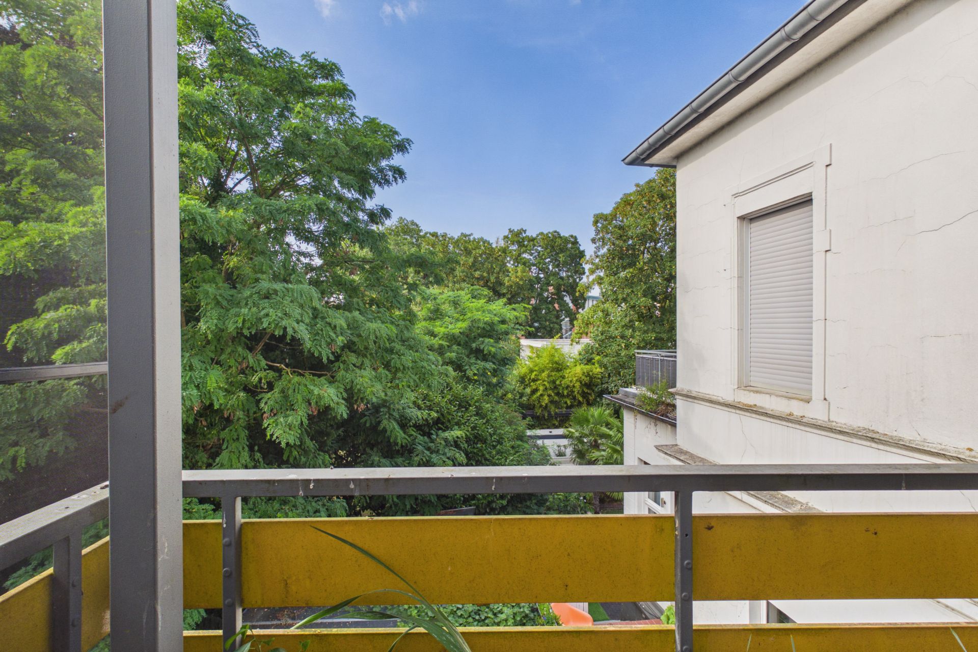 Blick von einem Balkon mit Geländer auf grüne Bäume und die Fassade eines Nachbargebäudes.