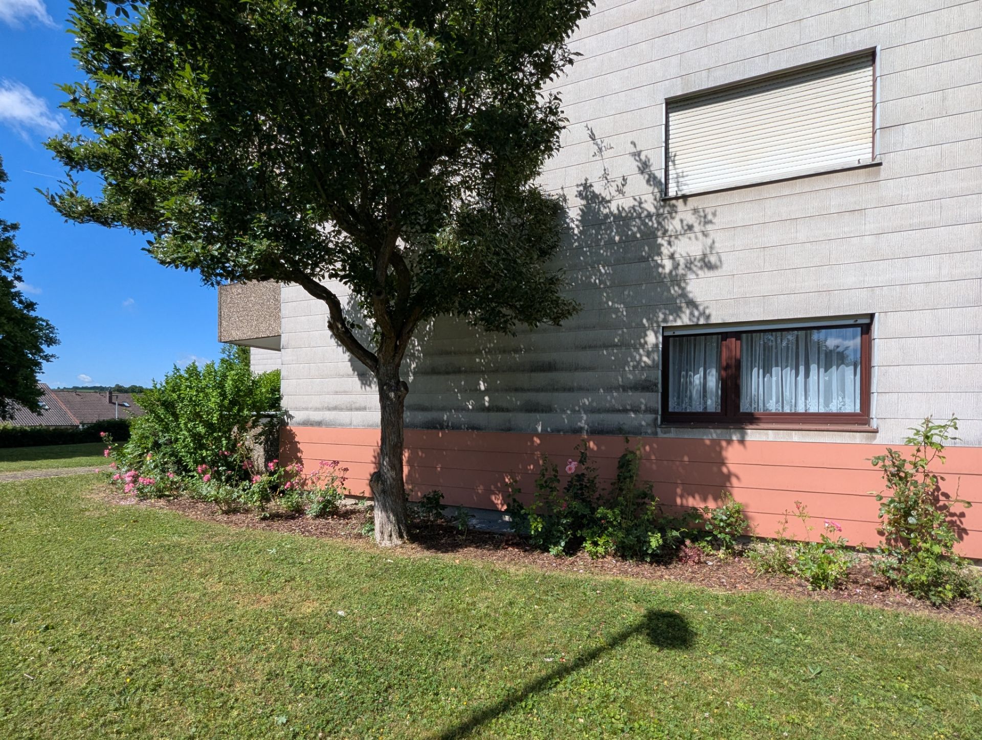 Grünfläche mit Baum und Sträuchern vor einem Wohnhaus mit zwei Fenstern.