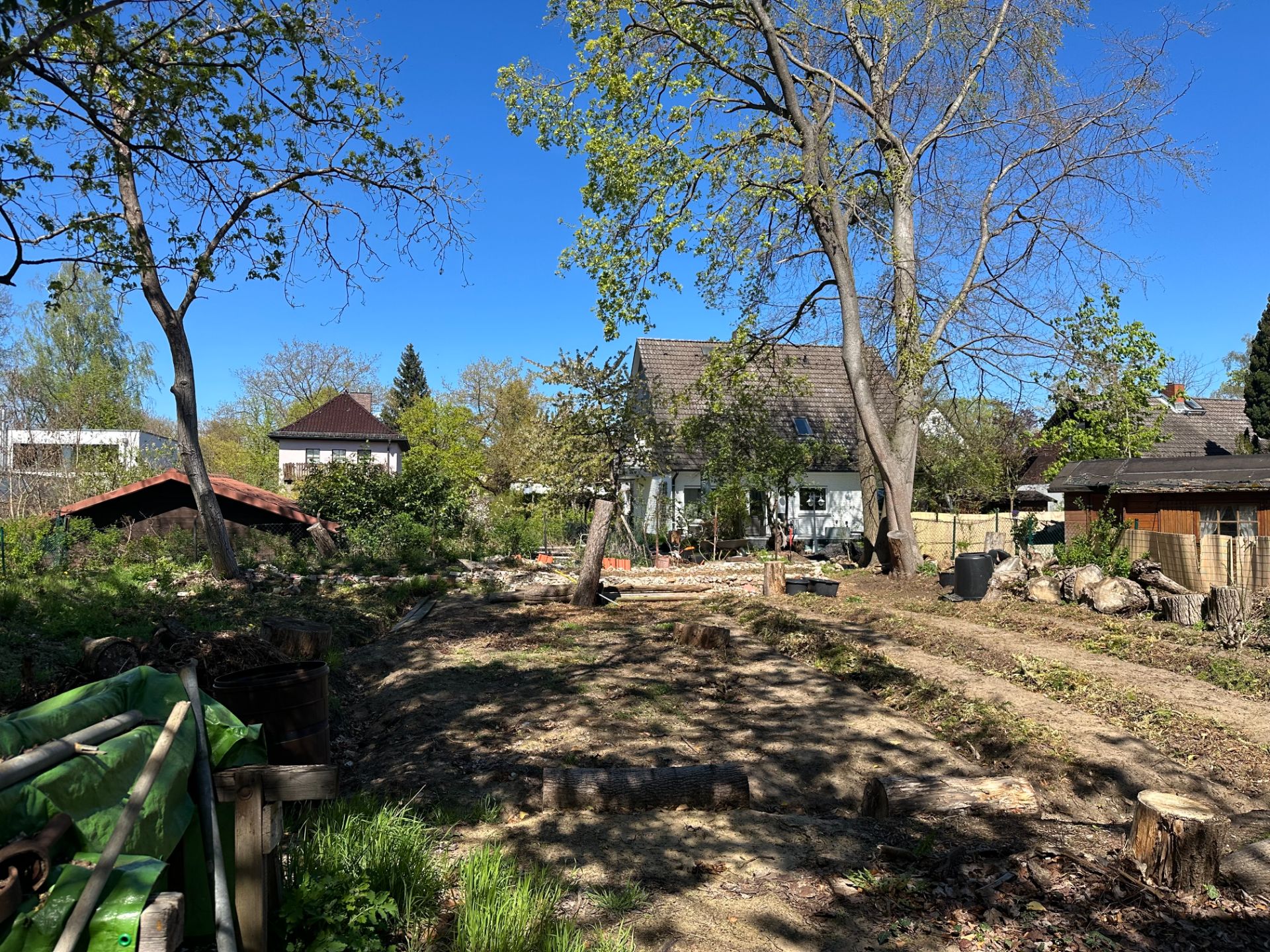 Großer Garten mit Bäumen und Haus im Hintergrund bei sonnigem Wetter.