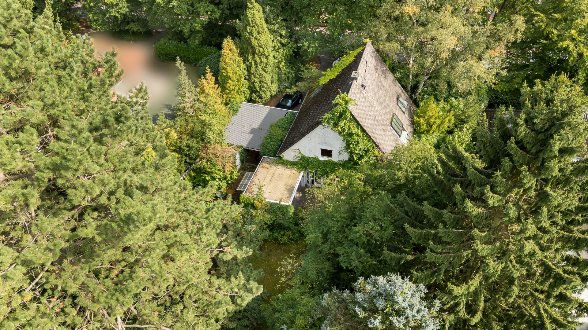 Luftaufnahme eines Hauses mit Satteldach, umgeben von vielen Bäumen und Grünflächen.