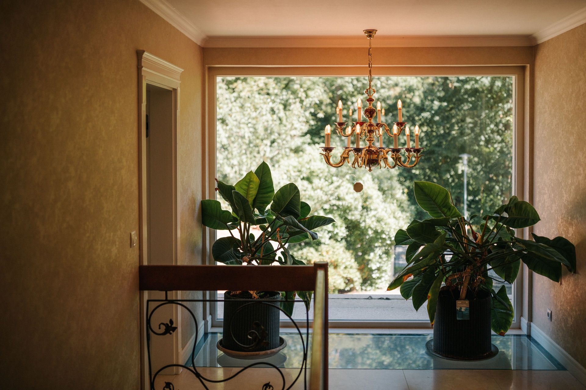 Großes Fenster mit zwei großen Zimmerpflanzen und Kronleuchter in einem hellen Flur.