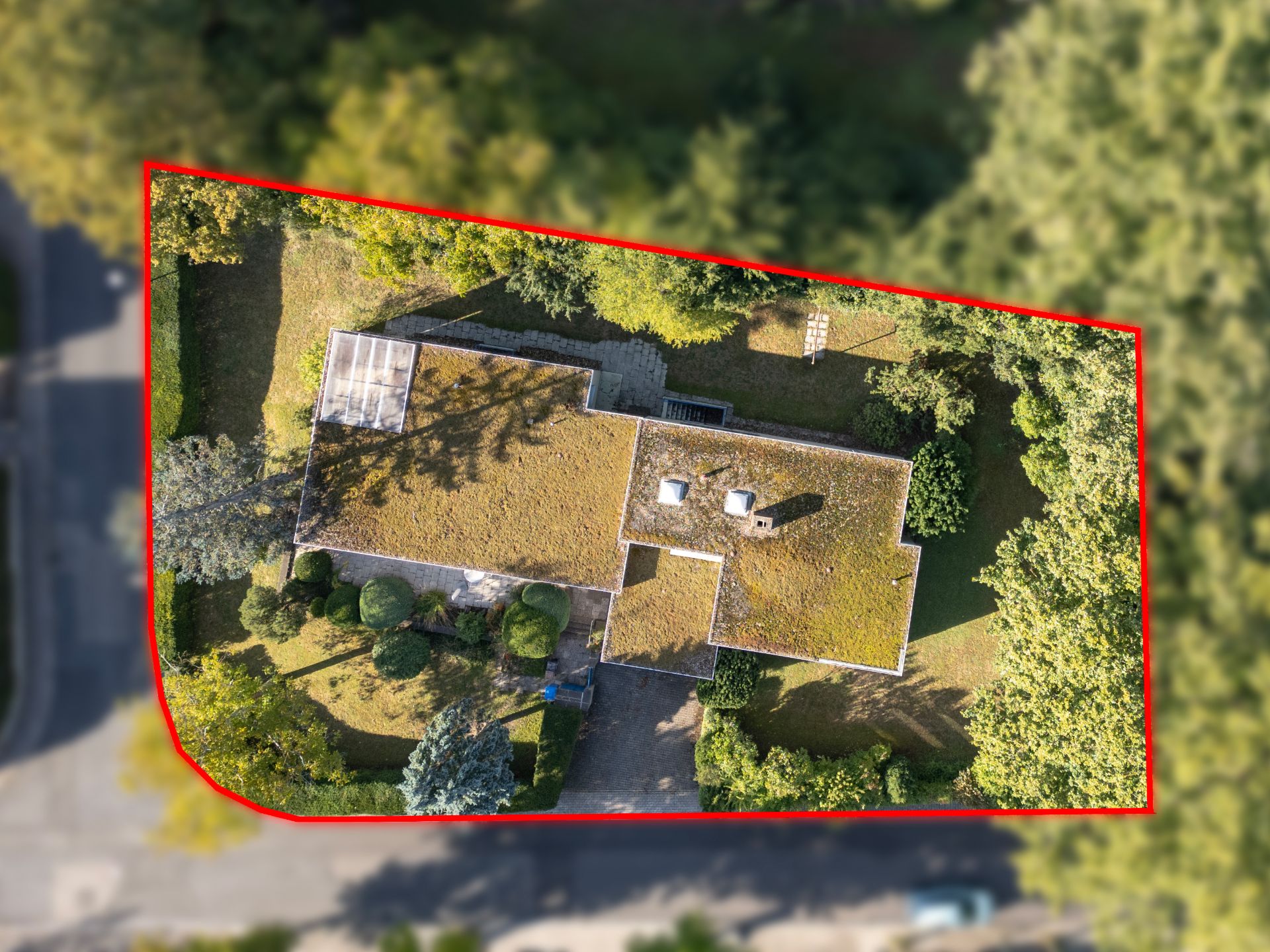 Luftbild eines Hauses mit Flachdach, umgeben von Garten und Bäumen, Grundstück rot umrandet.