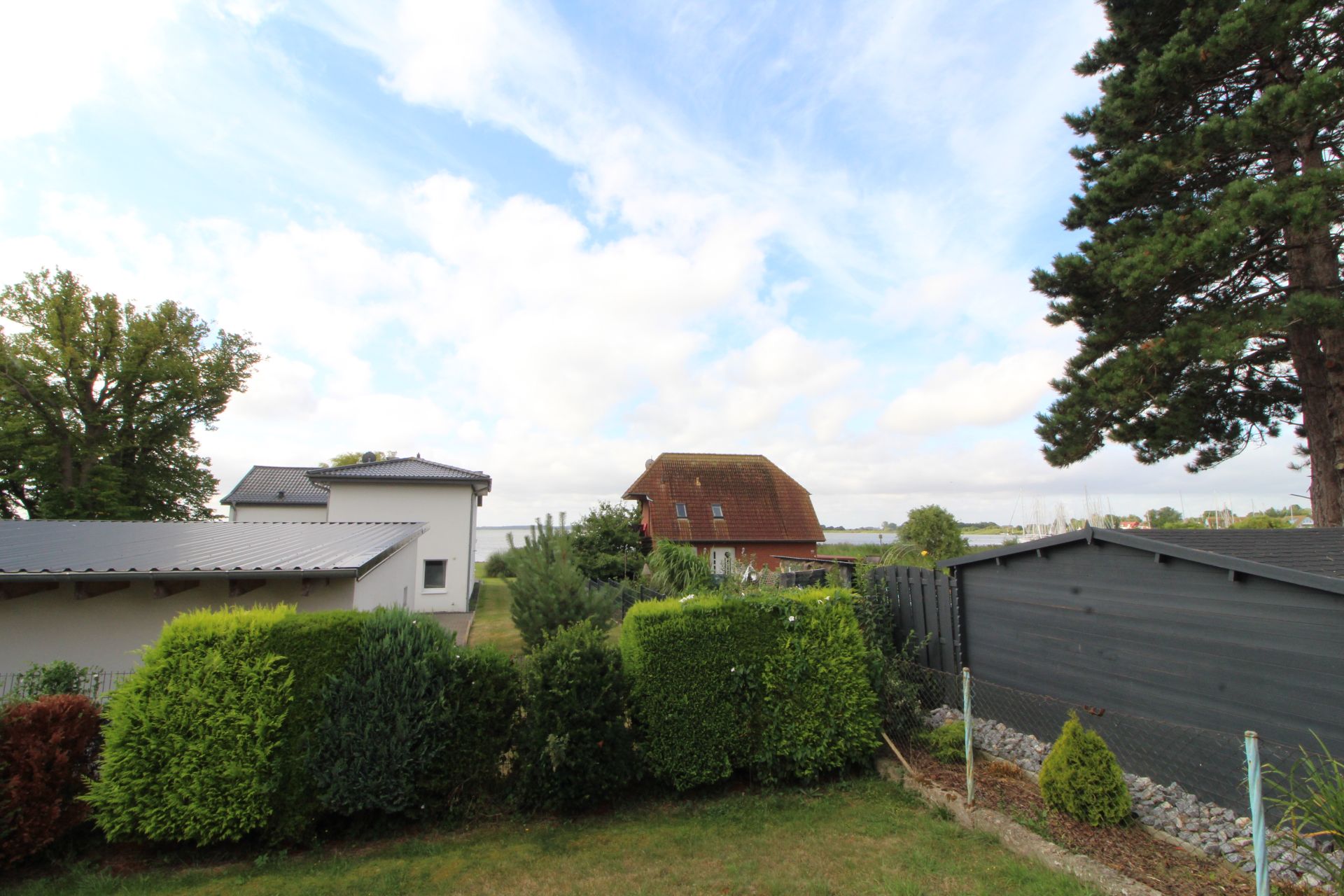 Garten mit Hecken, Rasen und Blick auf benachbarte Häuser und einen großen Baum.