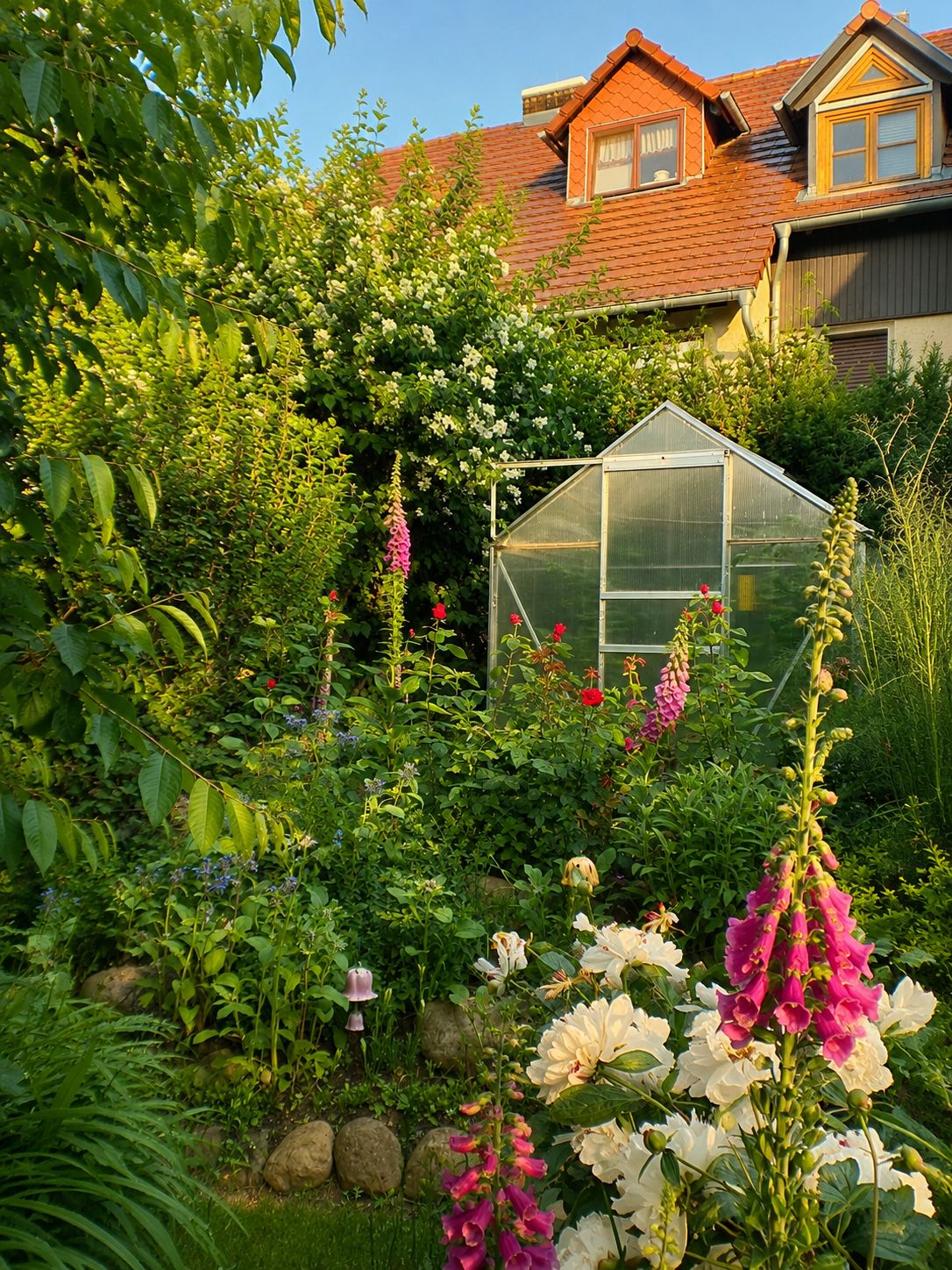Blumenreicher Garten mit kleinem Gewächshaus vor einem Haus mit rotem Dach.