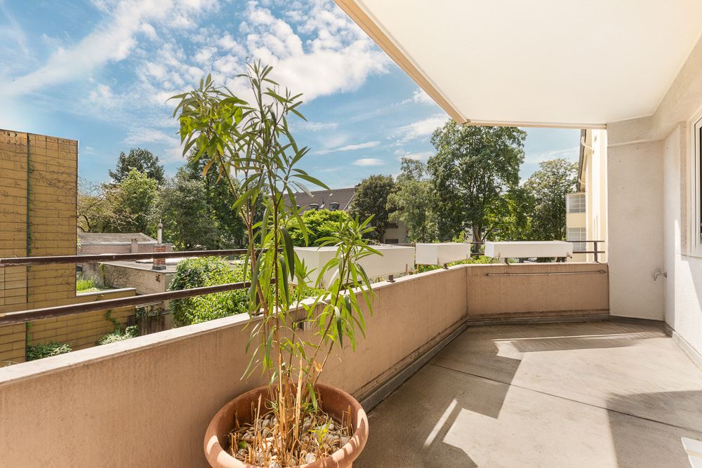 Großer Balkon mit Topfpflanze, Blick auf Bäume und Nachbargebäude bei Sonnenschein.