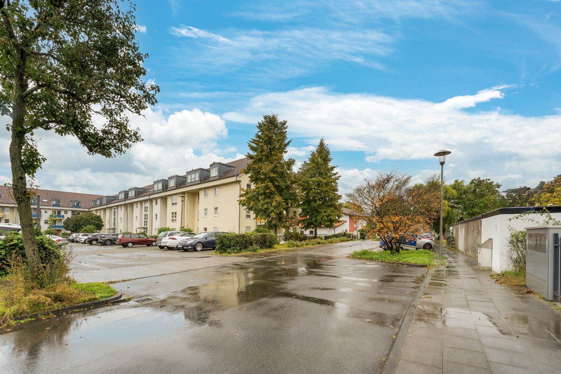 Wohnstraße mit geparkten Autos, Bäumen und nassem Asphalt nach Regen.