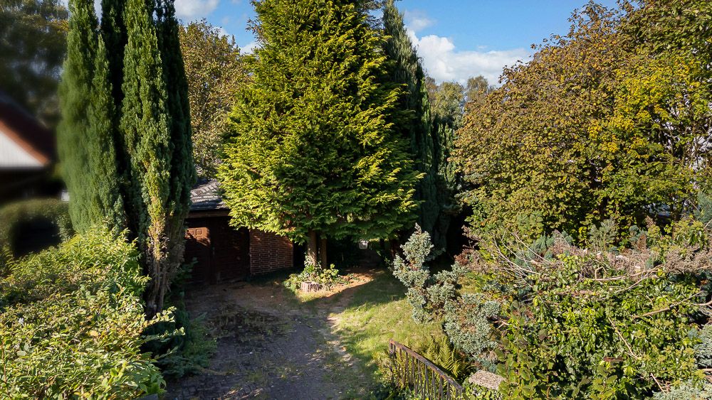 Garten mit Weg, hohen Bäumen und Sträuchern, daneben ein kleines Backsteingebäude.