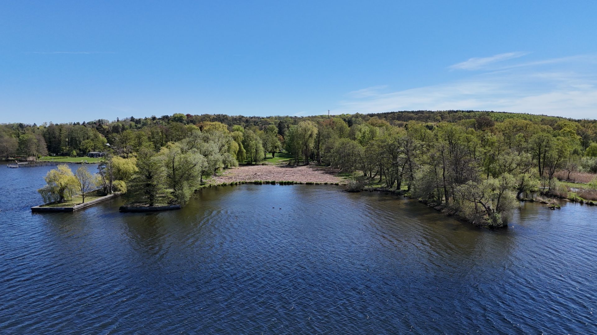 Blick auf einen bewaldeten Uferbereich mit Wasser und Bäumen bei klarem Himmel.