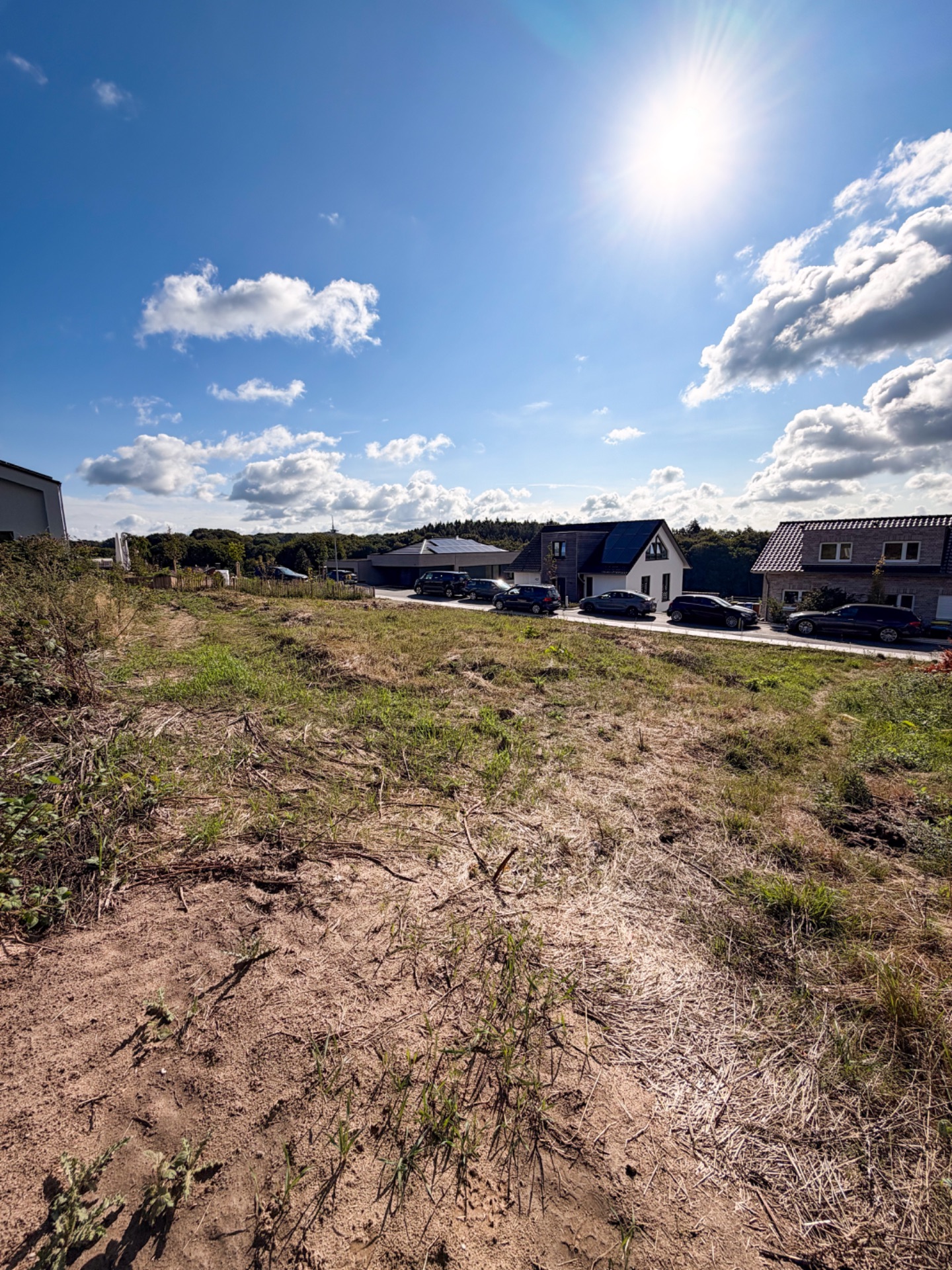 Sonniges Baugrundstück mit Wiese, im Hintergrund Einfamilienhäuser und Autos an der Straße.