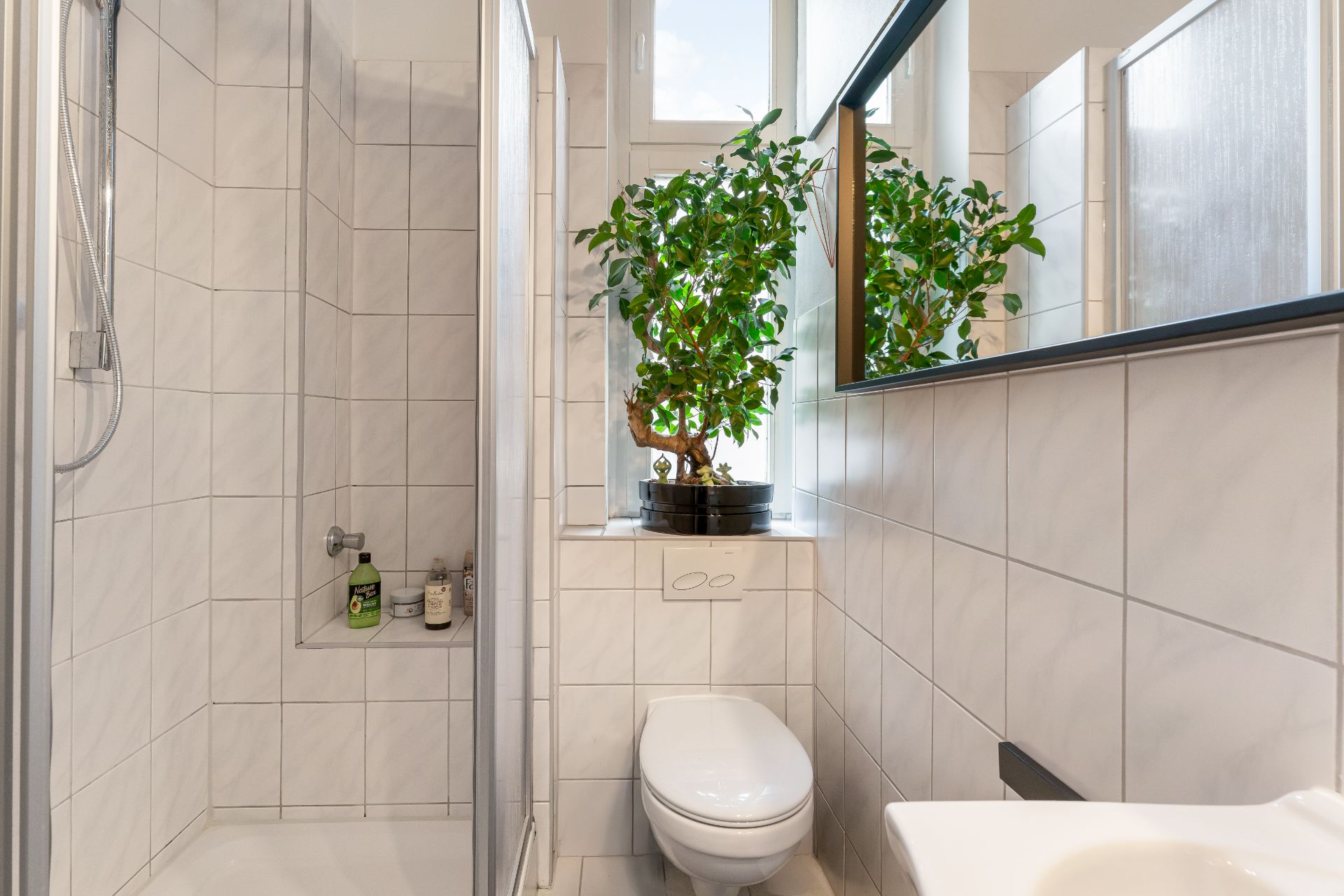 Kleines Badezimmer mit Dusche, WC, Waschbecken und Pflanze auf Fensterbank.