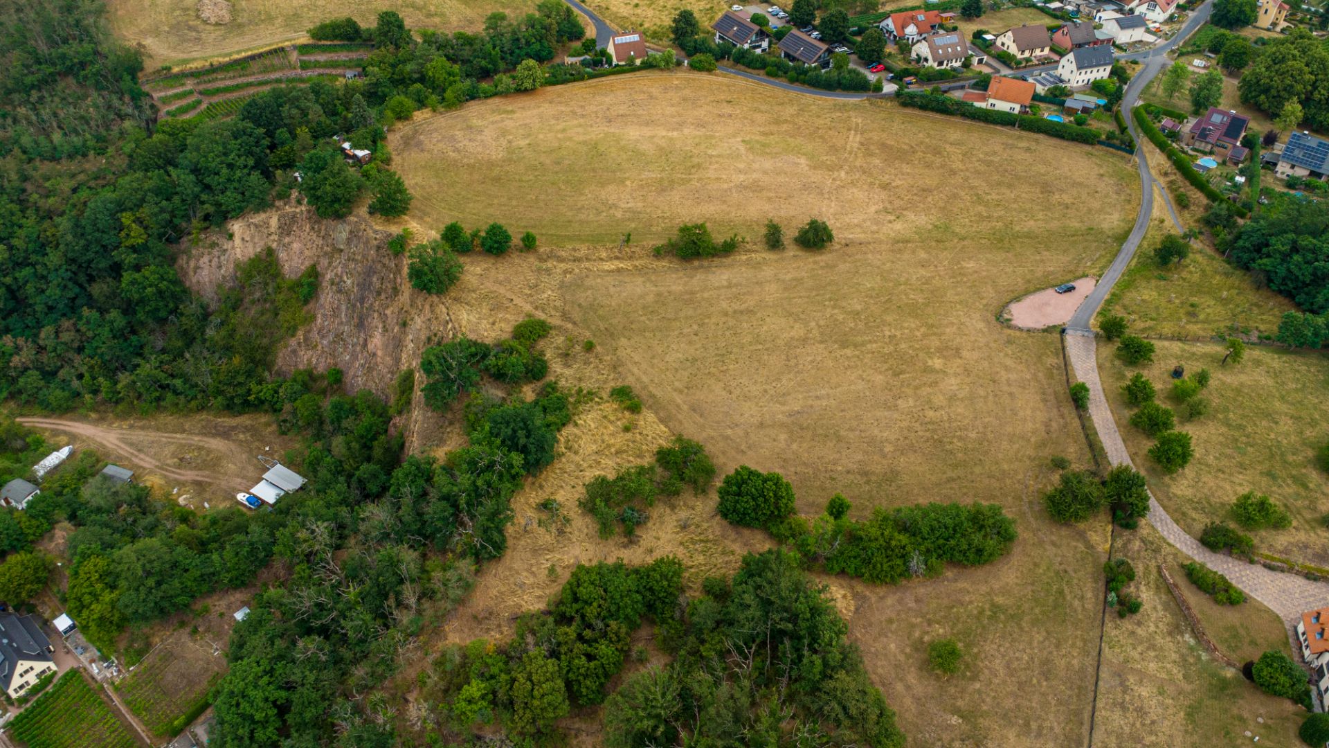 Luftaufnahme von einer großen Wiese mit einigen Bäumen und angrenzenden Wohnhäusern.