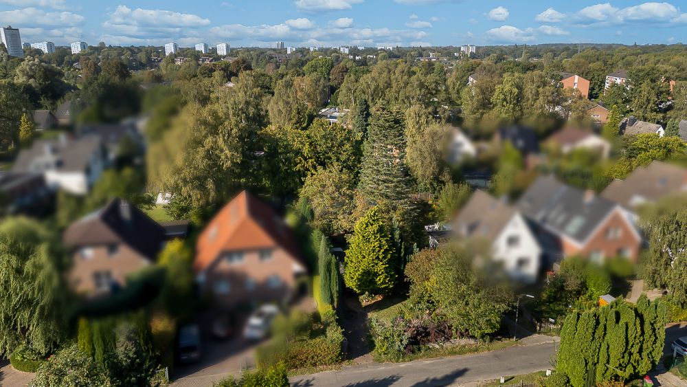 Luftaufnahme von Einfamilienhäusern mit viel Grün und Bäumen in einer Wohnsiedlung.
