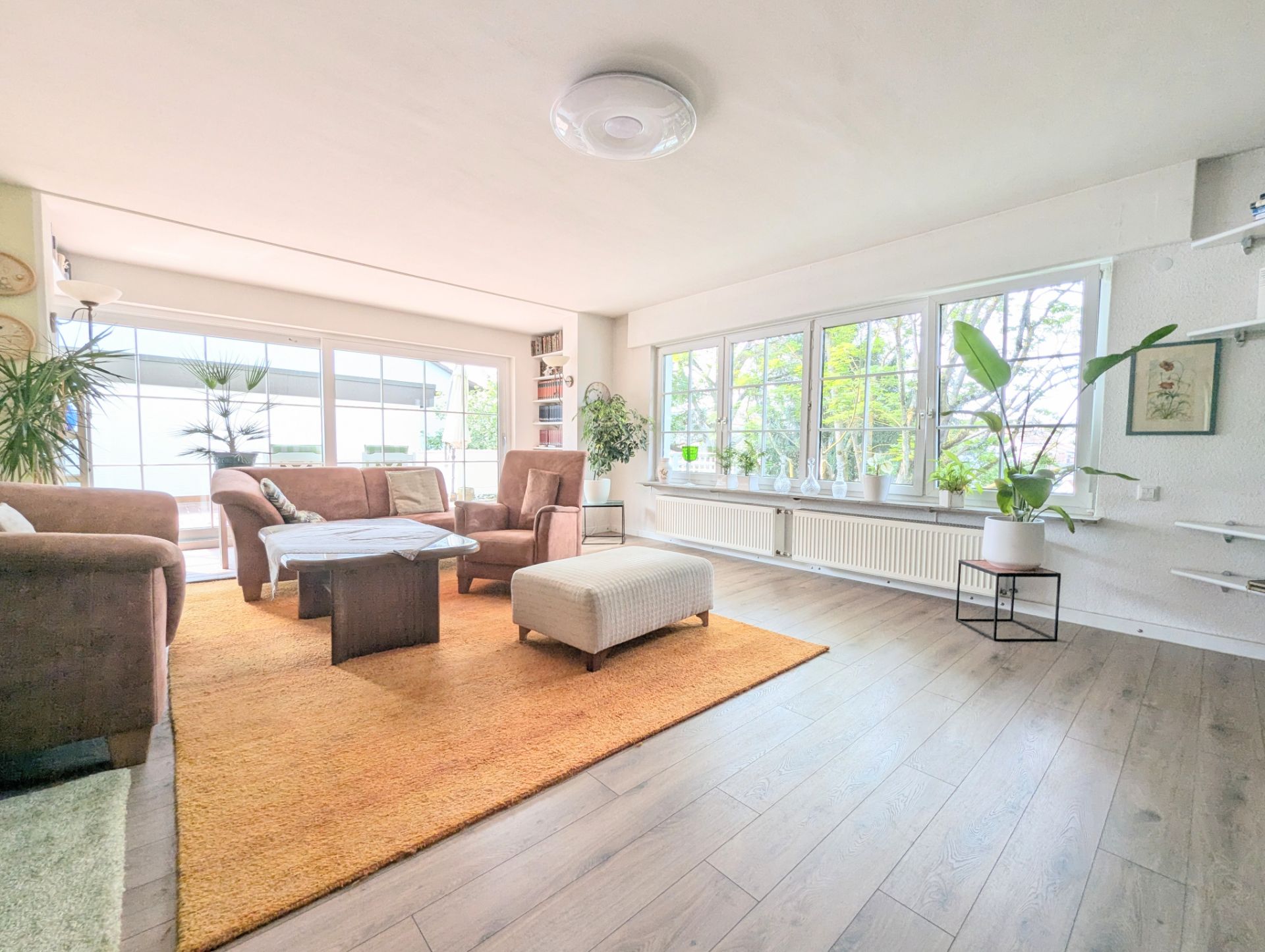 Helles Wohnzimmer mit braunen Sofas, großem Teppich, vielen Fenstern und Zimmerpflanzen.