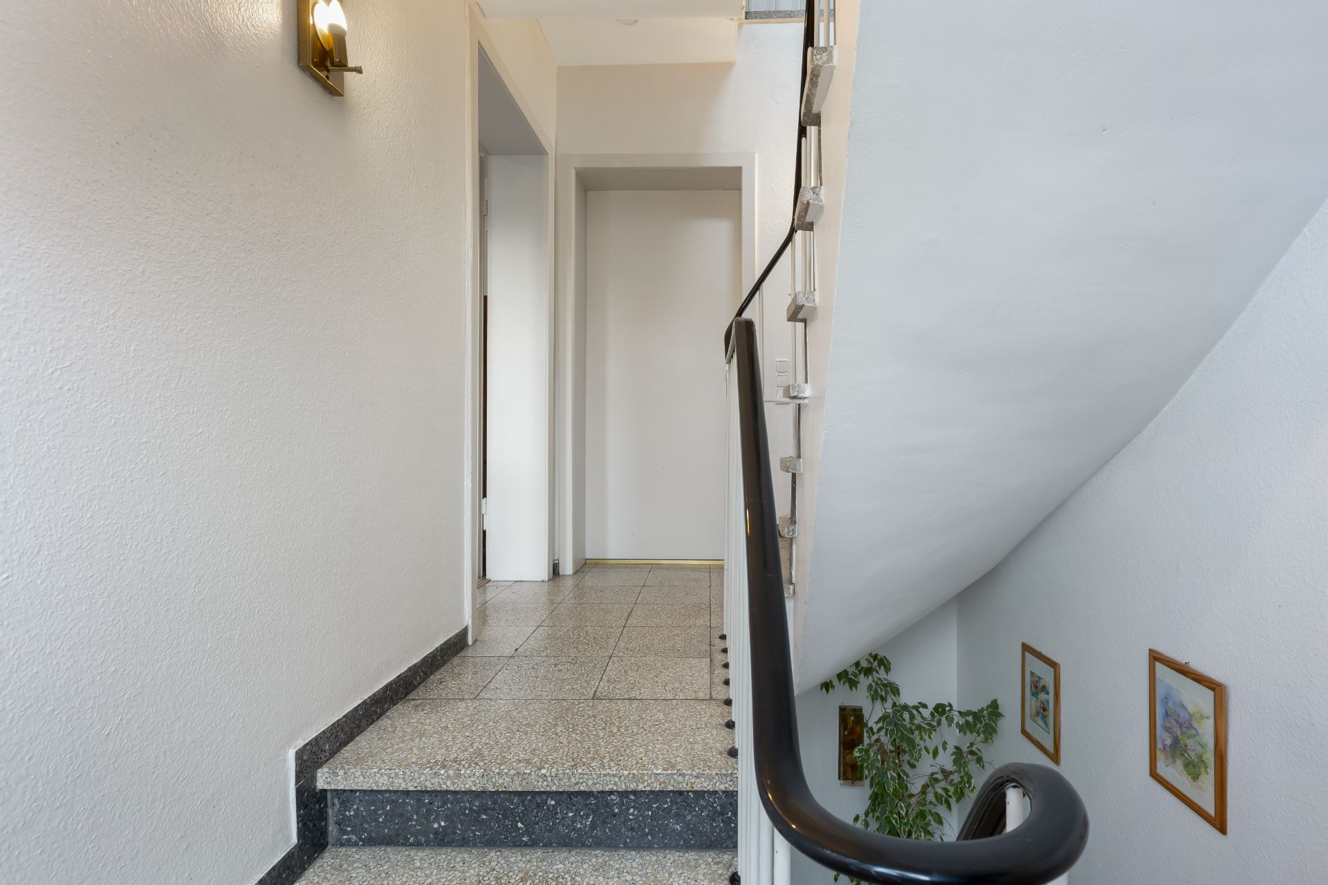 Treppenhaus mit Geländer, Flur und einer Pflanze an der Wand.
