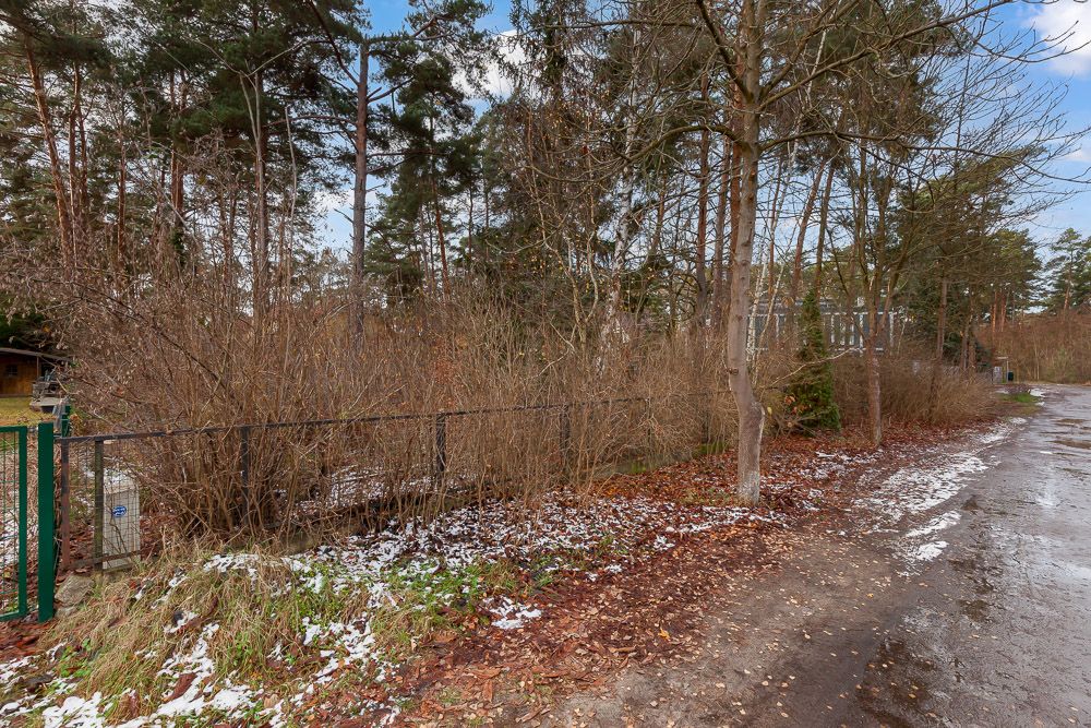 Waldweg mit Bäumen, Buschwerk und etwas Schnee am Wegrand.