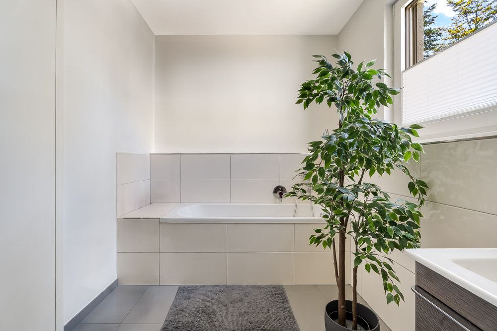 Modernes Badezimmer mit Badewanne, grauer Matte und großer Zimmerpflanze am Fenster.