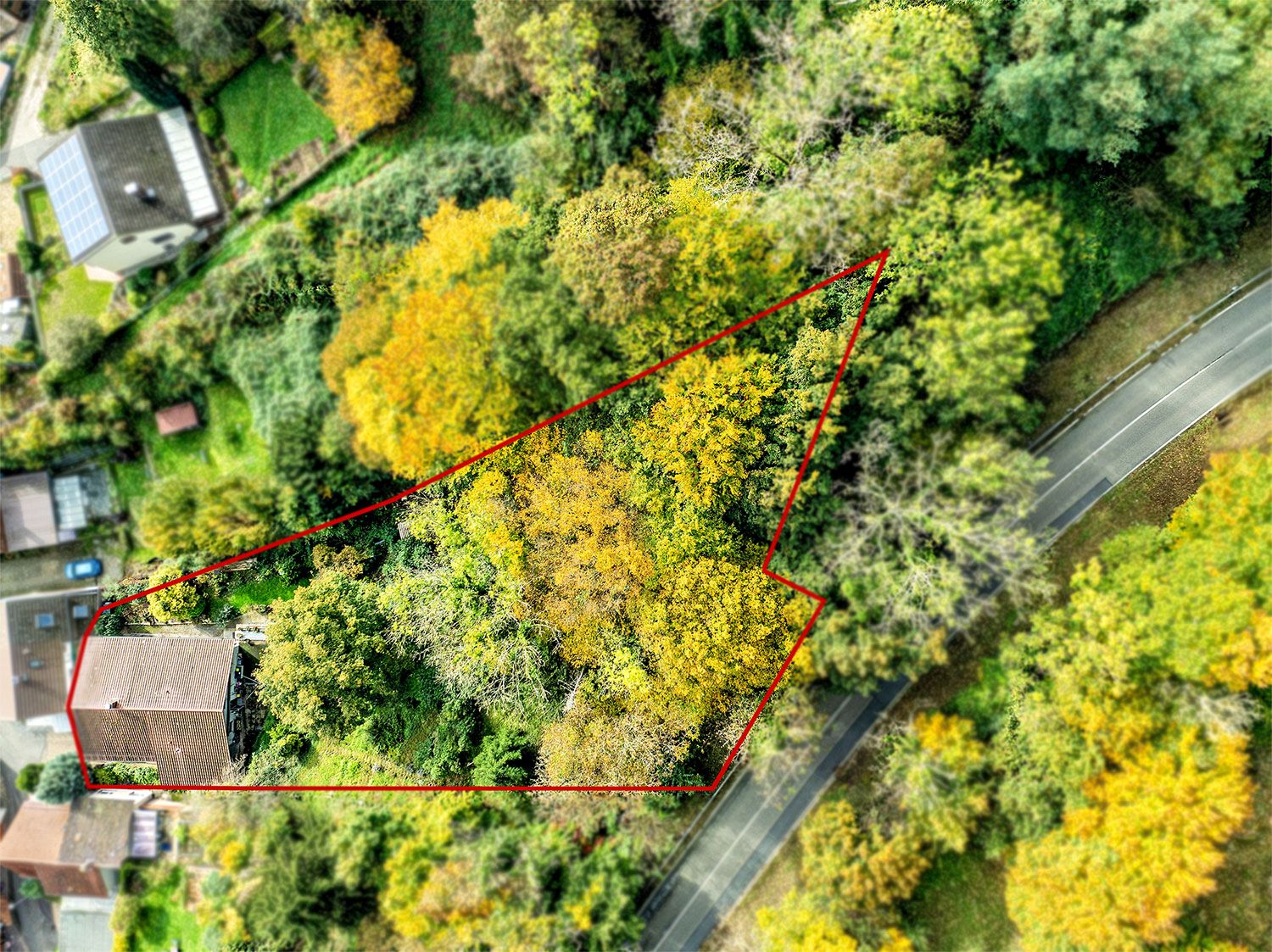 Luftaufnahme eines Grundstücks mit Haus, umgeben von Bäumen und mit roter Linie markiert.